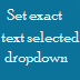 dropdownlist set exact selected text