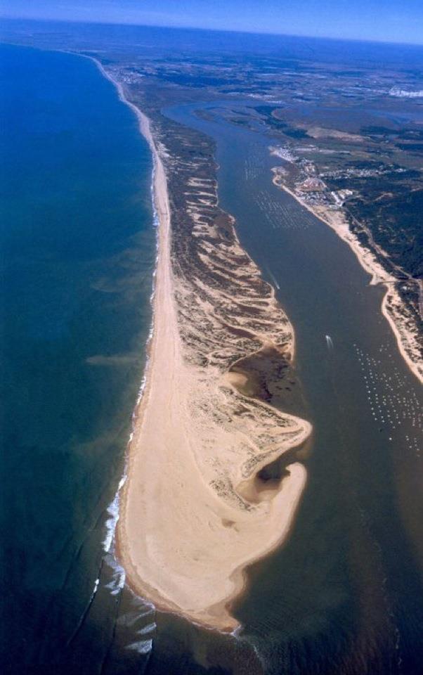 DE MAR El Rompido: julio 2012