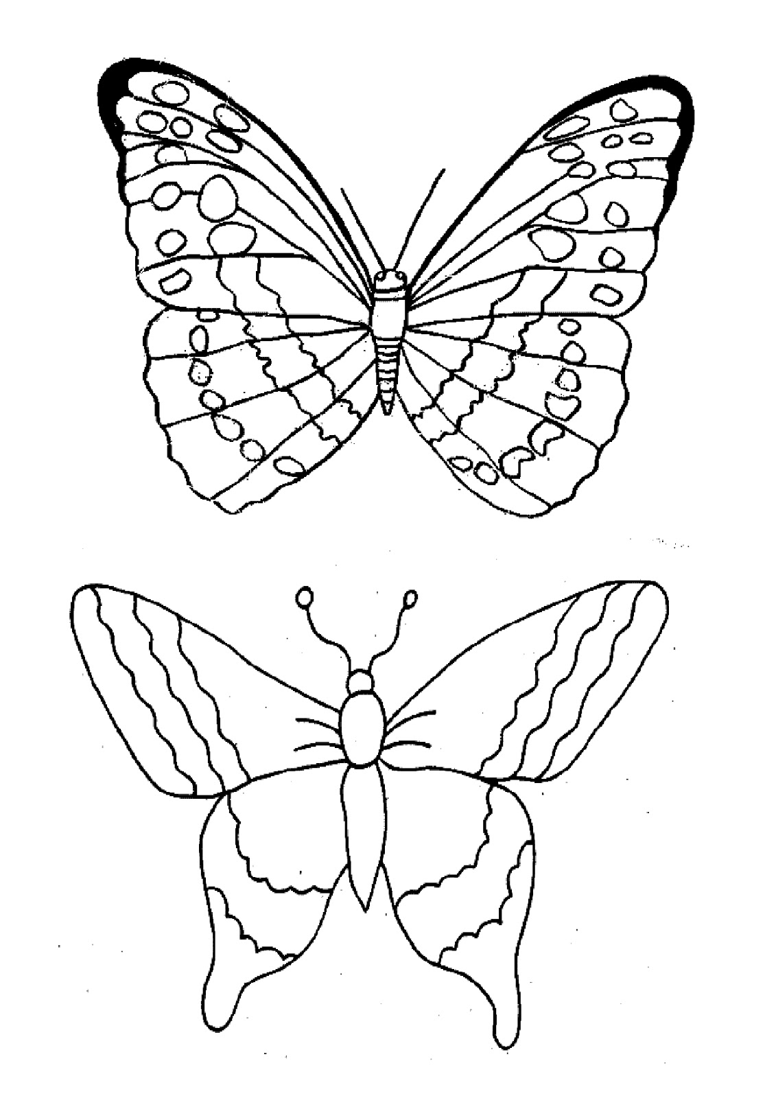 Imagini pentru imagini cu fluturi de colorat Butterfly