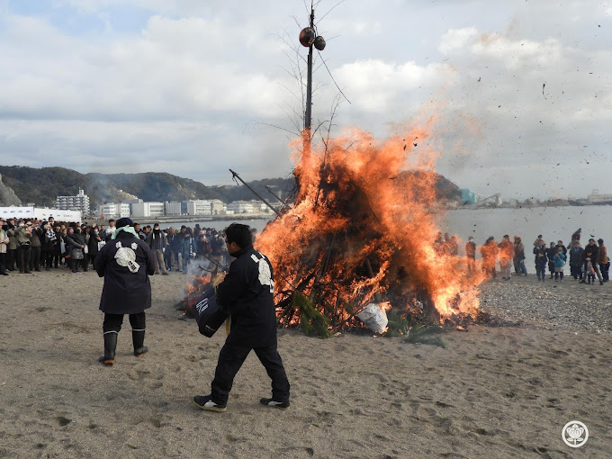 �ʐ^�͋v���l�C�݁A�P�O�O�I�ł͖��C�݂̂��̂炵��