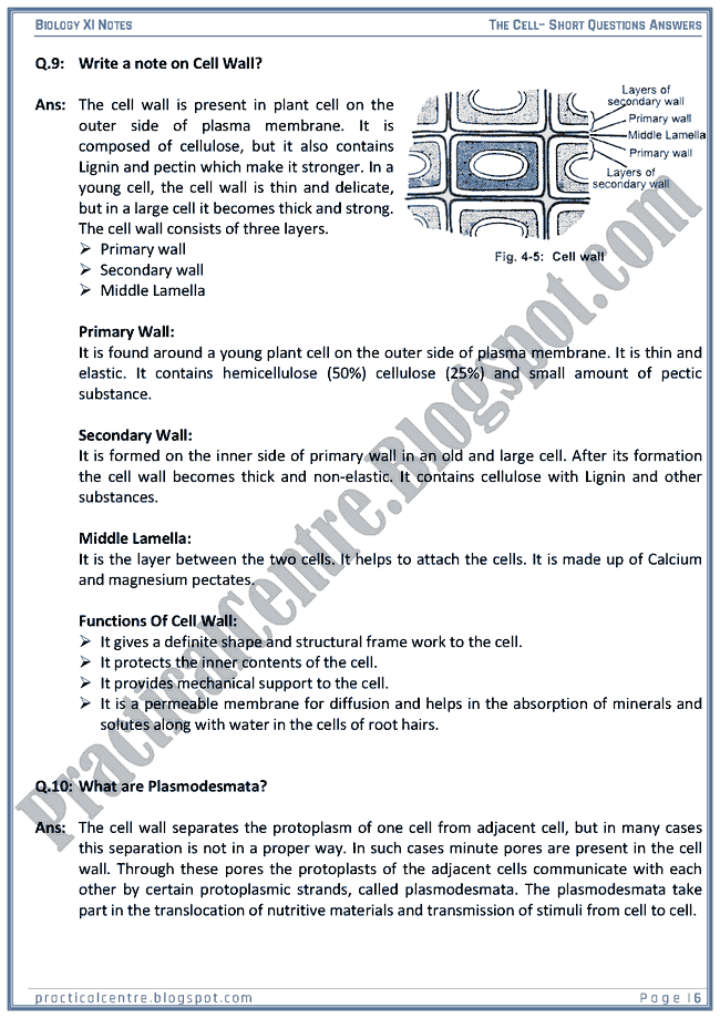 The Cell - Short Questions Answers - Biology XI