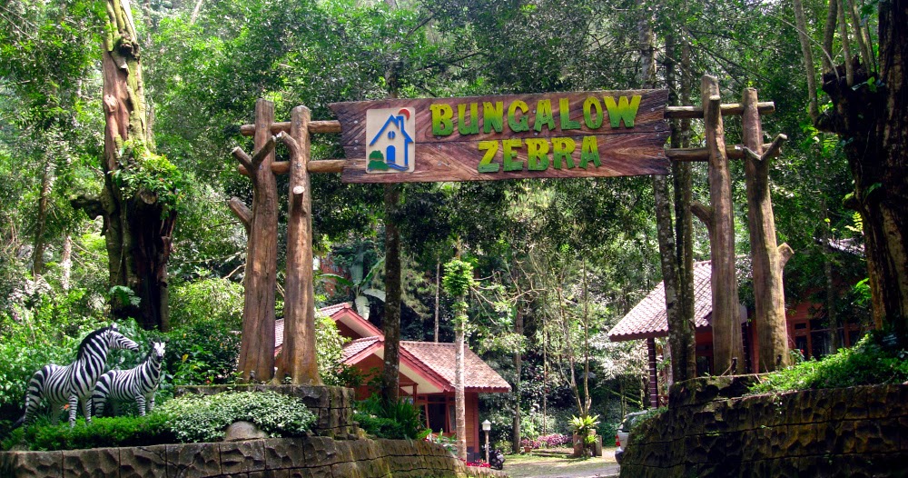 Pengalaman Menginap di Caravan – Taman Safari Lodge | bankjim