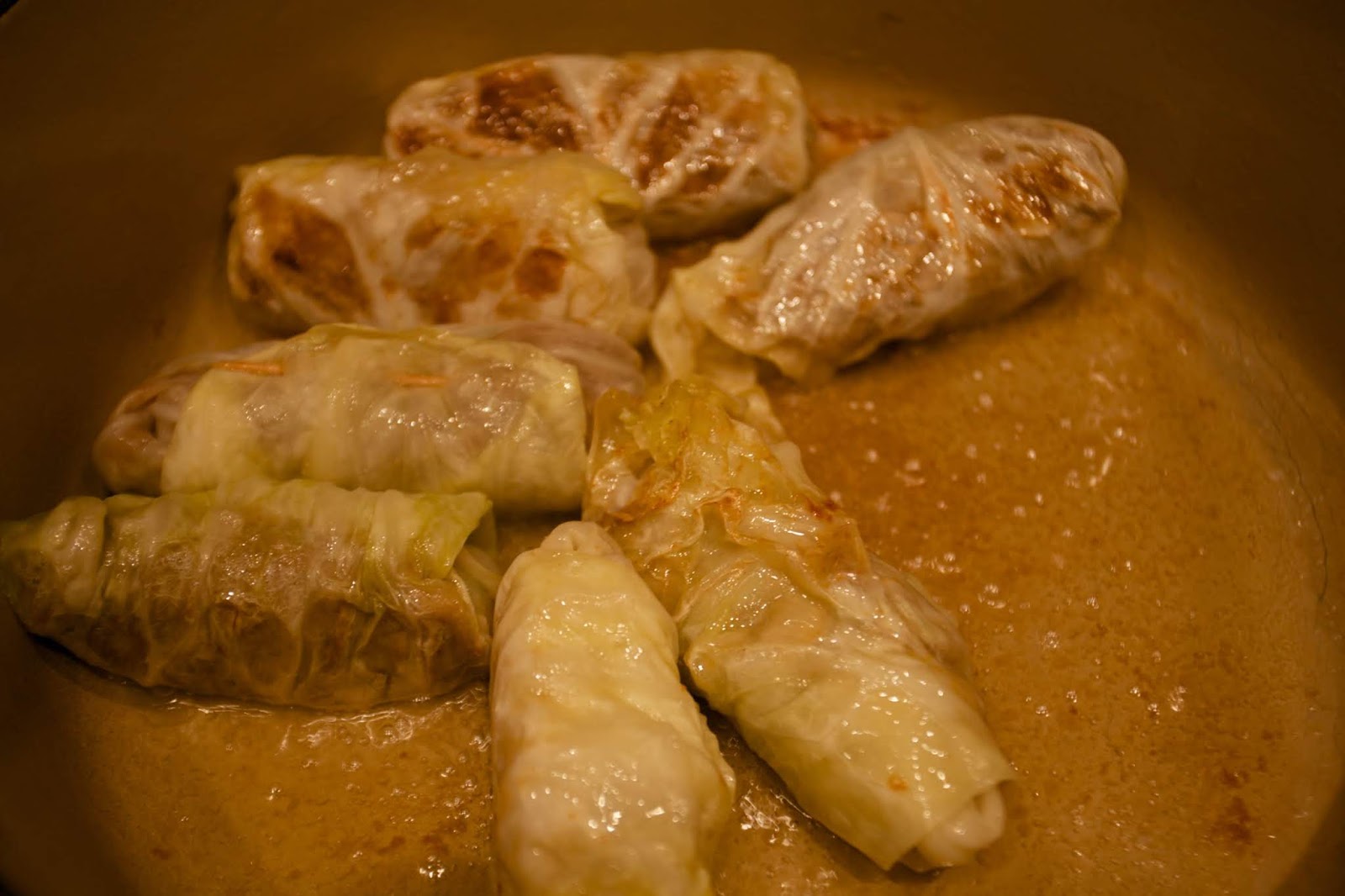 Stuffed Cabbage Rolls in Beef Gravy