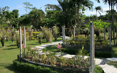 Orchid Gardens, Bali