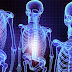 Understanding Human Anatomy in Yoga Teacher Training Course