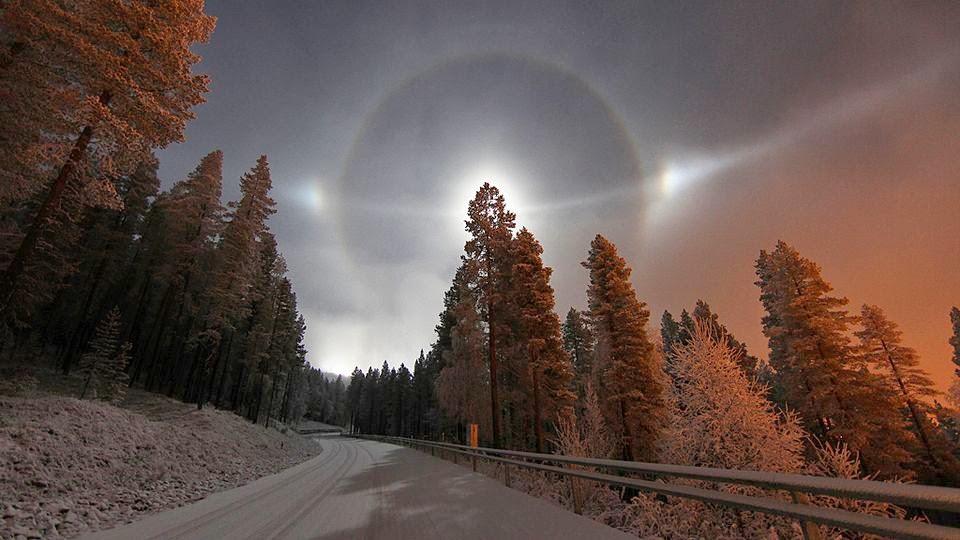 You%E2%80%99ll+Never+Believe+What+This+F