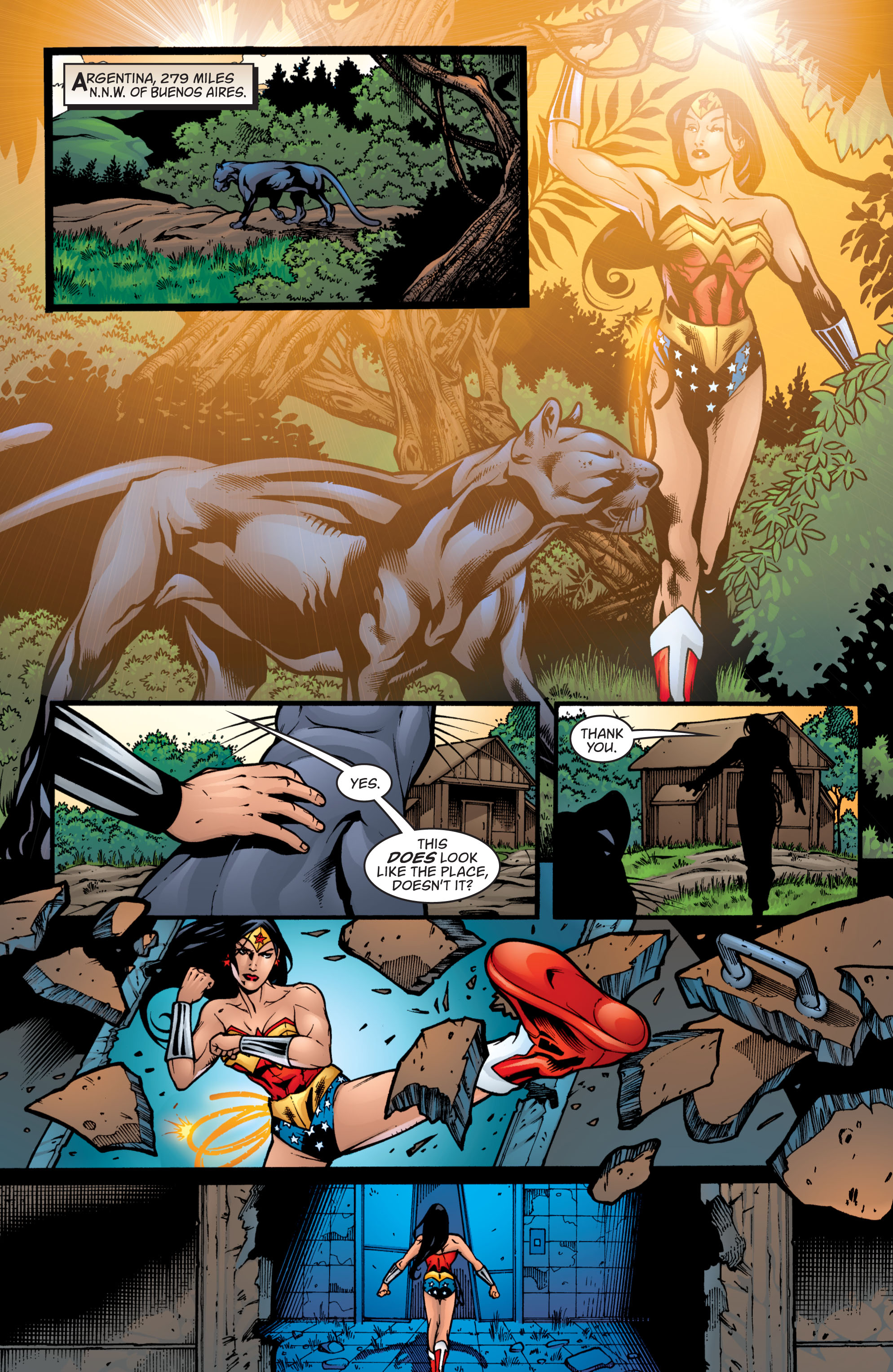 Read online Wonder Woman (1987) comic -  Issue #206 - 12