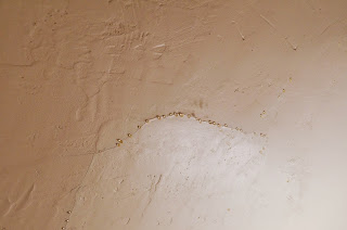Leaking Bathroom Ceiling: Upstairs Ceiling Leak
