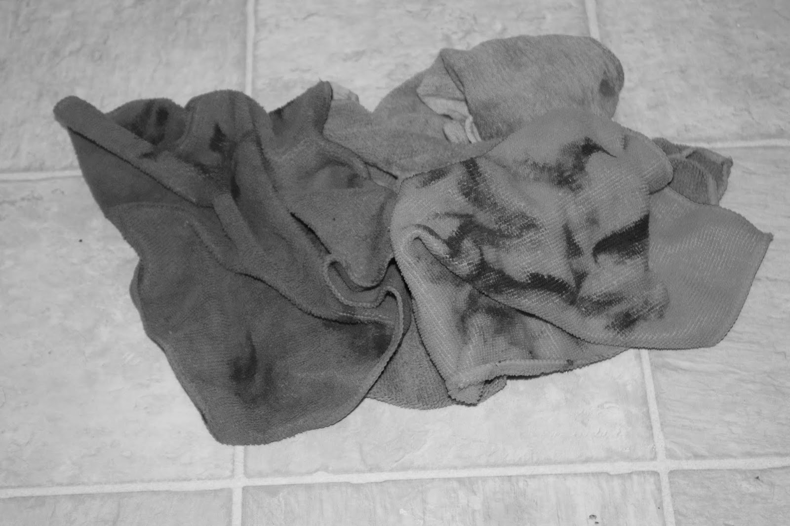 Bible Lessons From The Outdoors Christian Outdoor Object Lesson 37