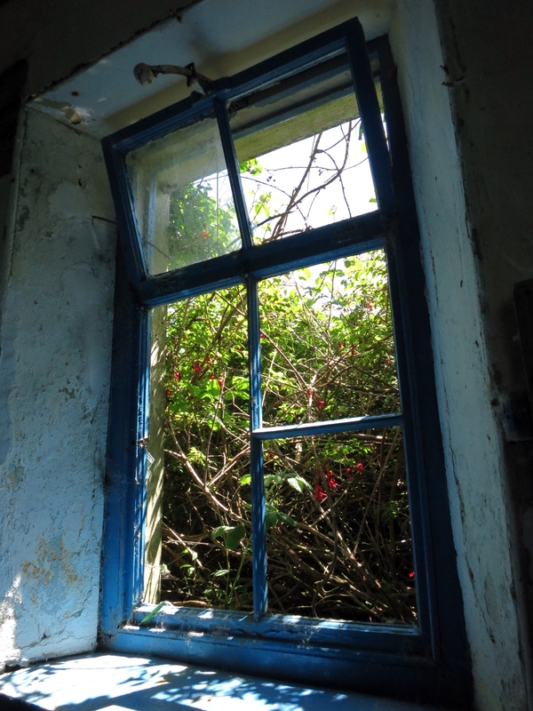 Abandoned school on Whiddy Island