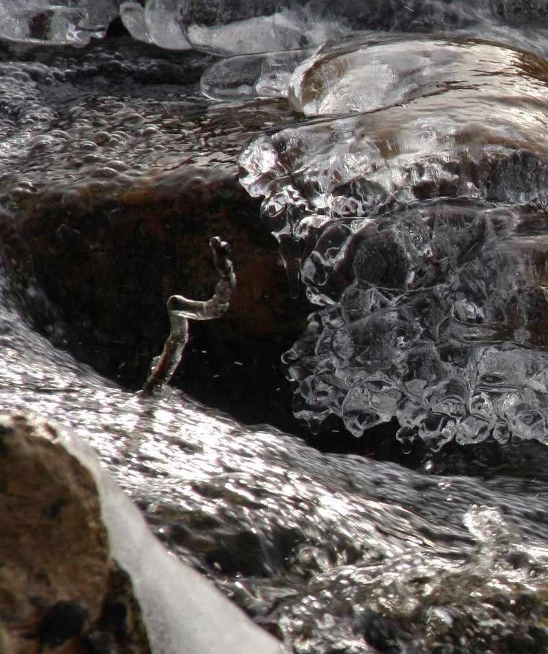 Regensburger Tagebuch Schuck Wie Heiss Oder Eis Gefallig