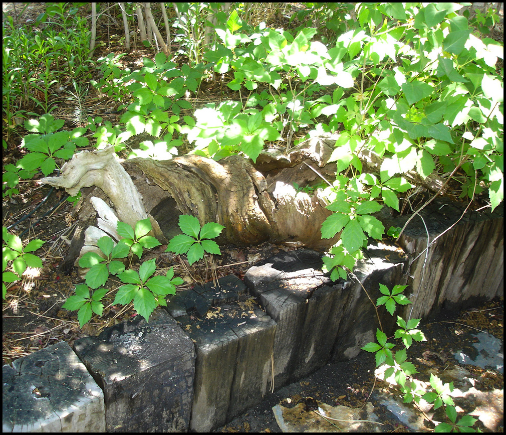 American Cottage Antiques Idyllwild Garner Valley on Memorial Day 2012