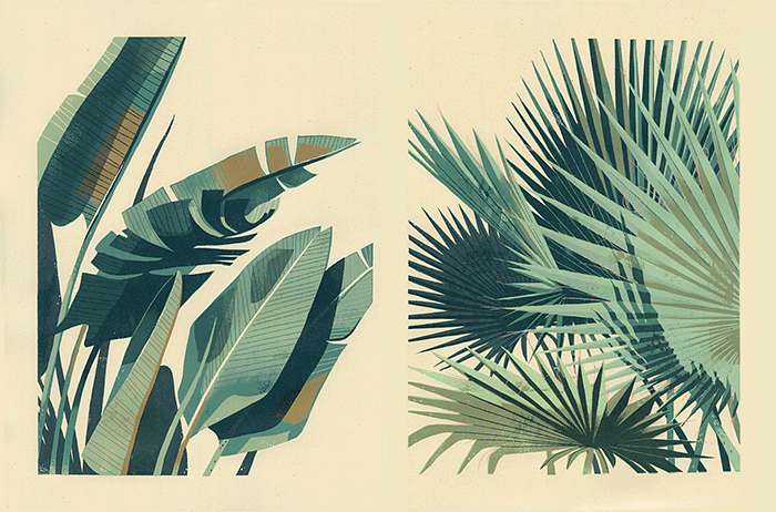 Palmiers par Chris Turnham Palms by Chris Turnham
