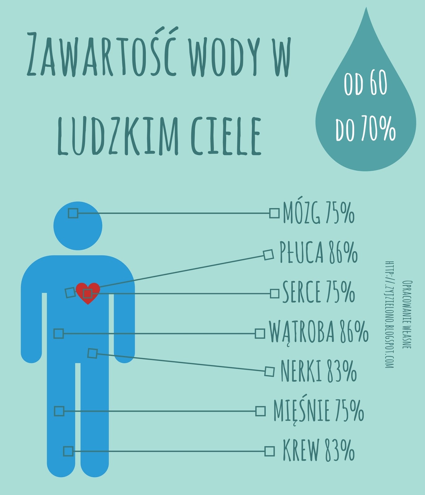 W Skład Potu Wchodzi Przede Wszystkim Woda Stanowi Ona Około H2O ZGADNIJ CO TO, CZYLI PO CO NAM WODA? | ŻYJ ZIELONO