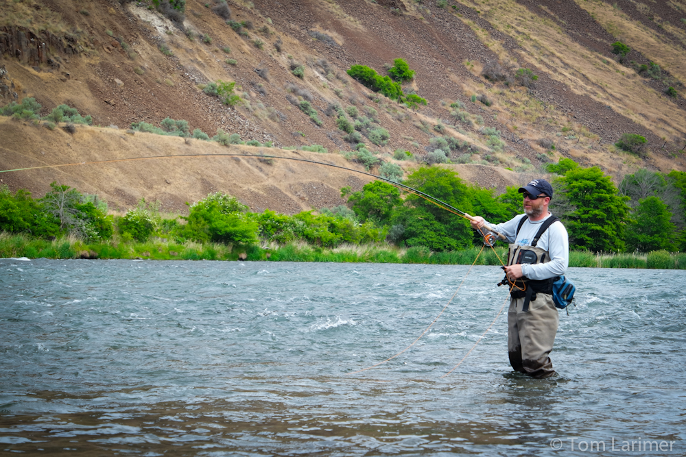 Fly Shop Blog Deschutes River Streamer Fishing