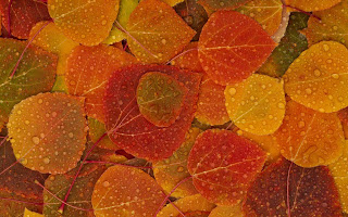 Usually the Markets Cool in the Fall  But with Inventories Tight, It's not Clear What will  Happen This Year