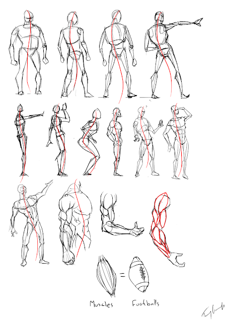 blog by TOMMY: Anatomy Exercise