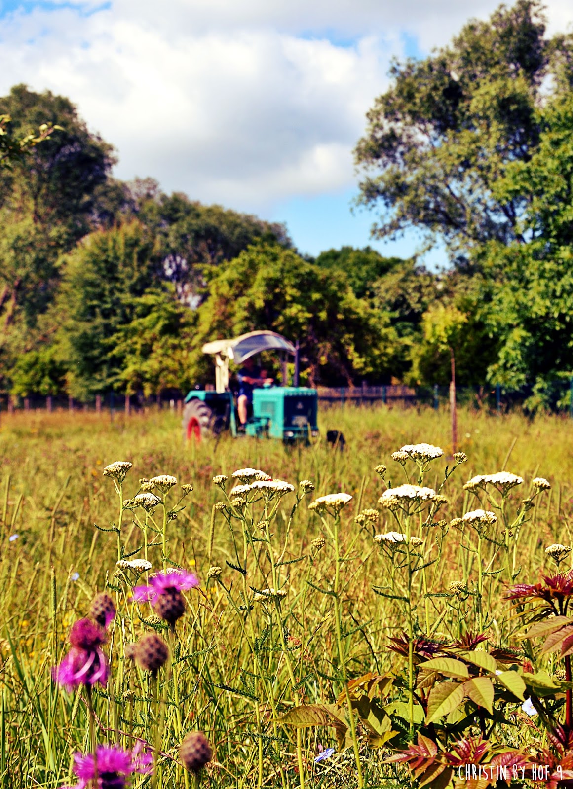 Hof 9 Heuernte Auf Hof 9 Und Der Kranz Im Juni