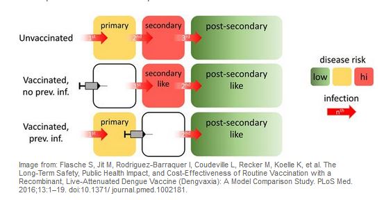 Avian Flu Diary: WHO Unveils Interim Dengue Vaccine Recommendations