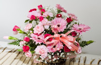 Christmas pink and white flowers which gorgeous