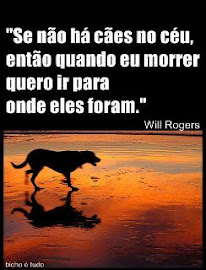 Cães...