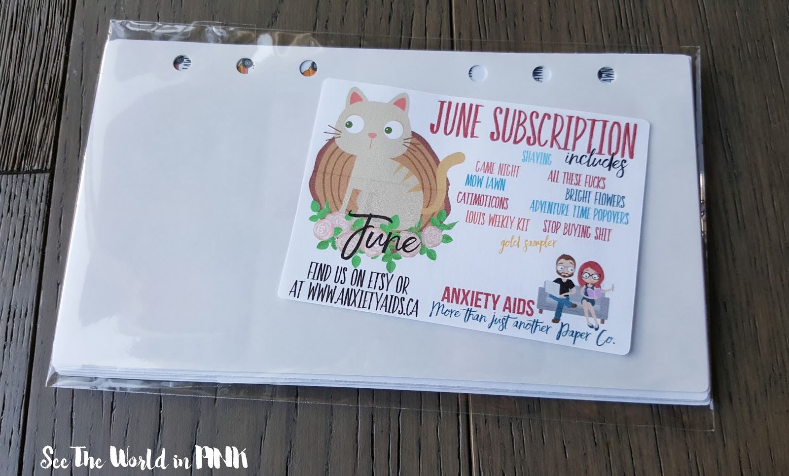 anxiety aids subscription sticker planner 