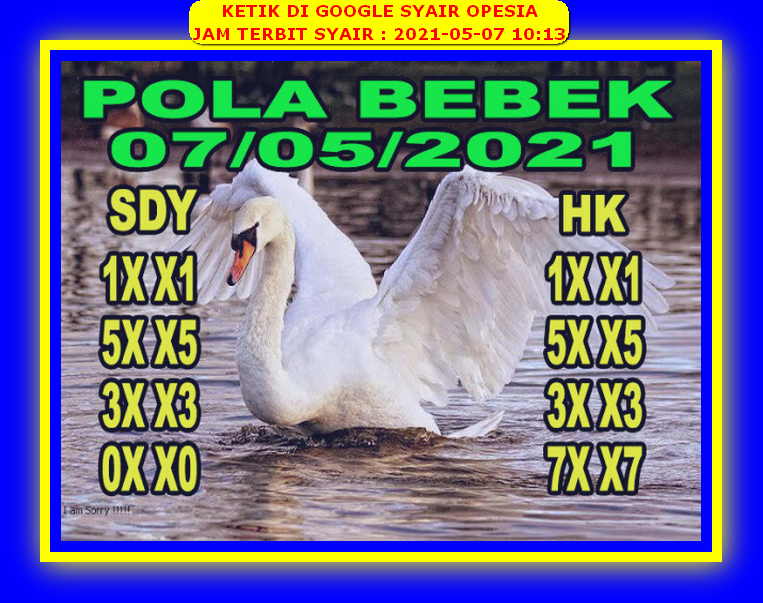 PREDIKSI SYDNEY COJEEL