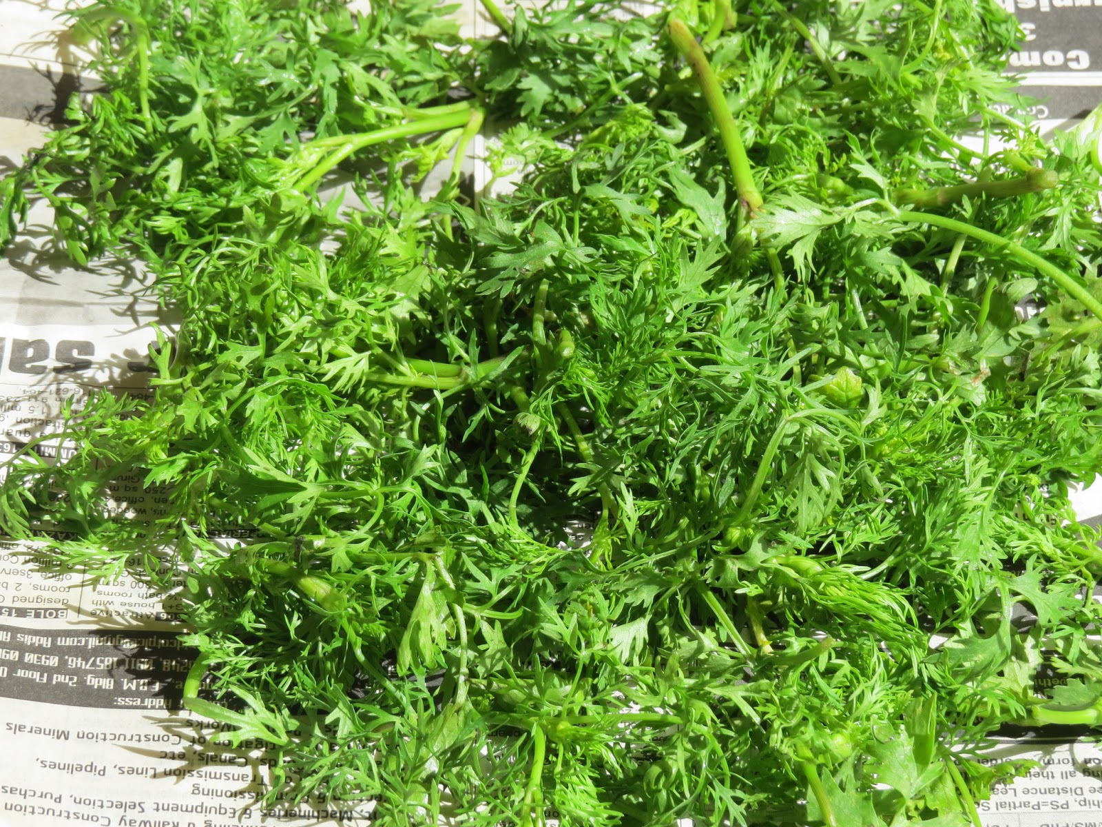 With Love from Mom's Kitchen How to Increase The Shelf Life Of Fresh