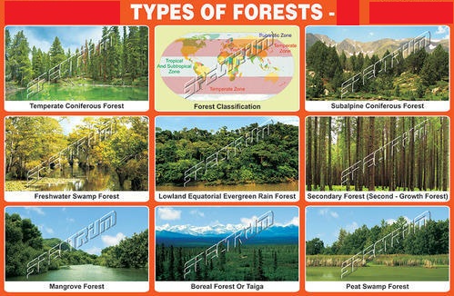 types of forest 1 chart 500x500 - वनों के प्रकार(Types of forests)