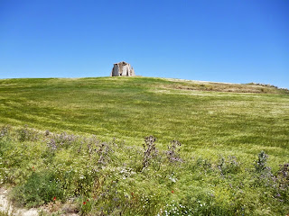 Palomar