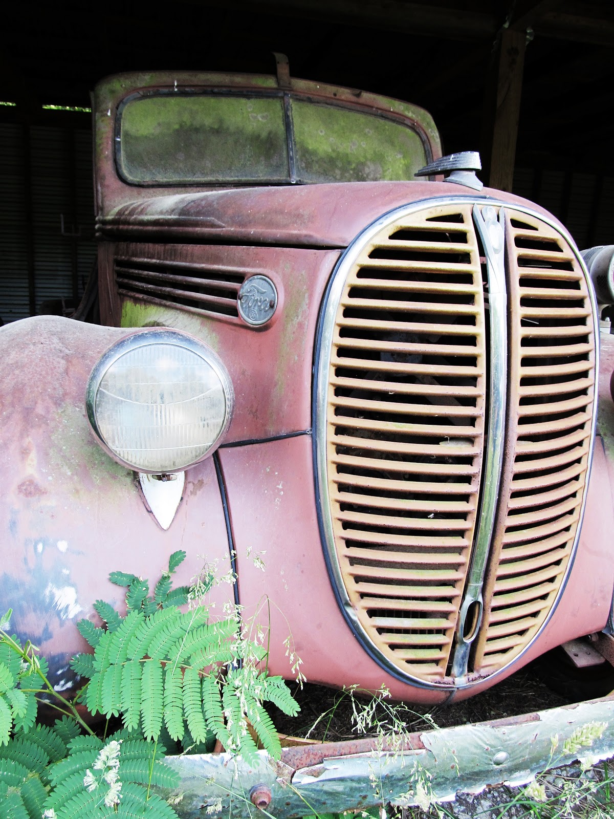 Sassytrash: Got RUST?