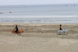 Greg in Utsunomiya: Misatos Birthday Enoshima, Yokohama, China Town and