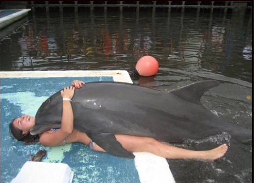 Dolphin Sex With Woman