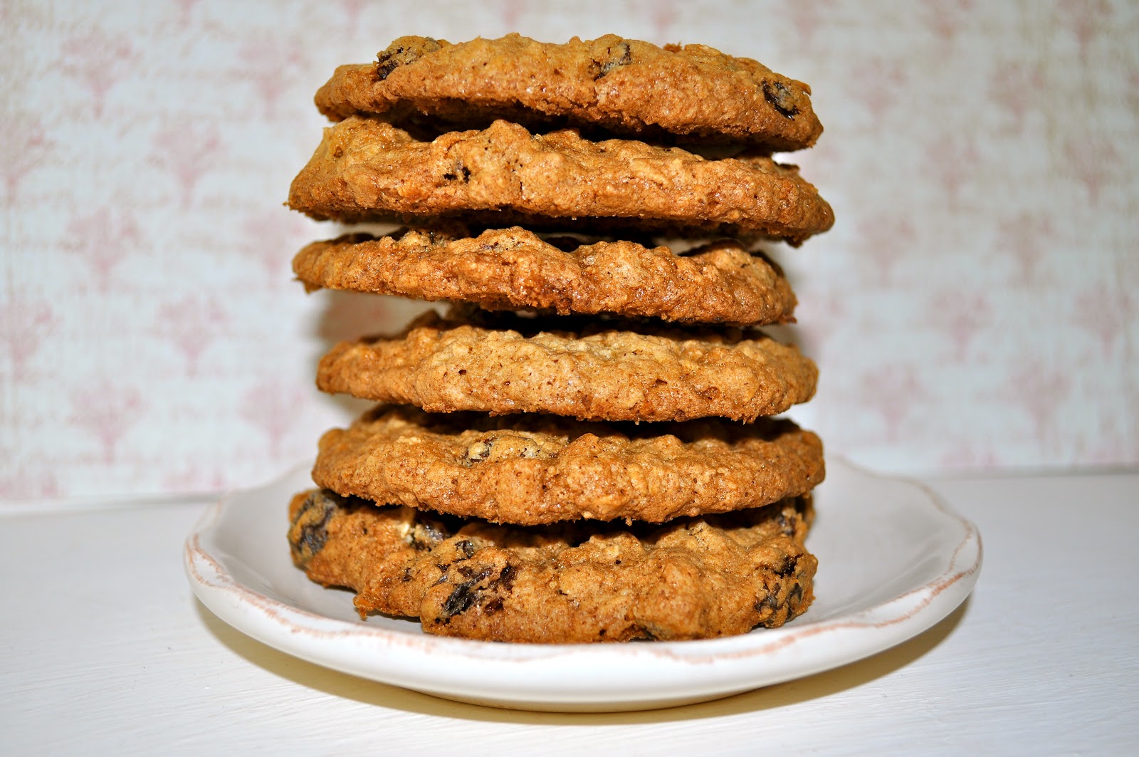 Classical Homemaking Oatmeal Raisin Cookies SortaSubway® Series