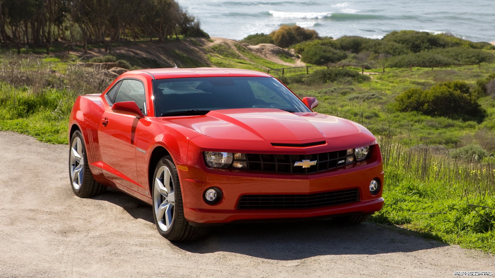 Poze Cu Dragoste: Poze masini Sport