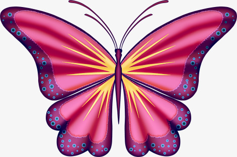 mariposas de colores