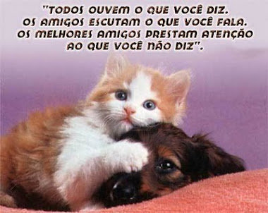 Respeito aos animais !!!