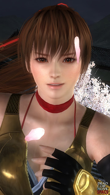 DOA5LR_GoldenNinja_Hoch004.jpg