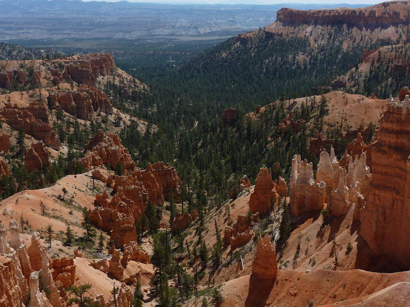 13: Bryce Canyon - Driving me ... USA (15)