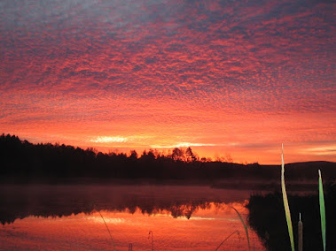 Sunrise Over Shelburne Pond