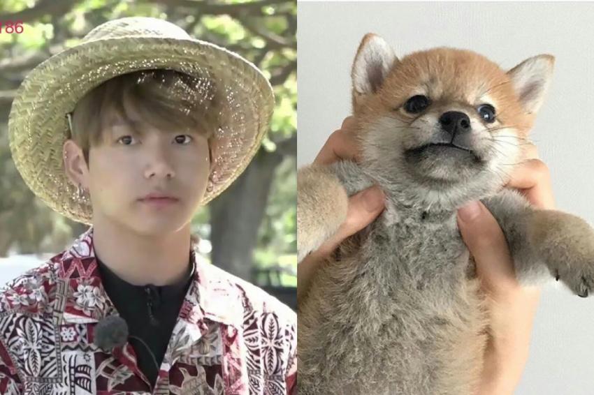 %25ED%2595%2598%25EA%25BC%25AC%25EB%25A9