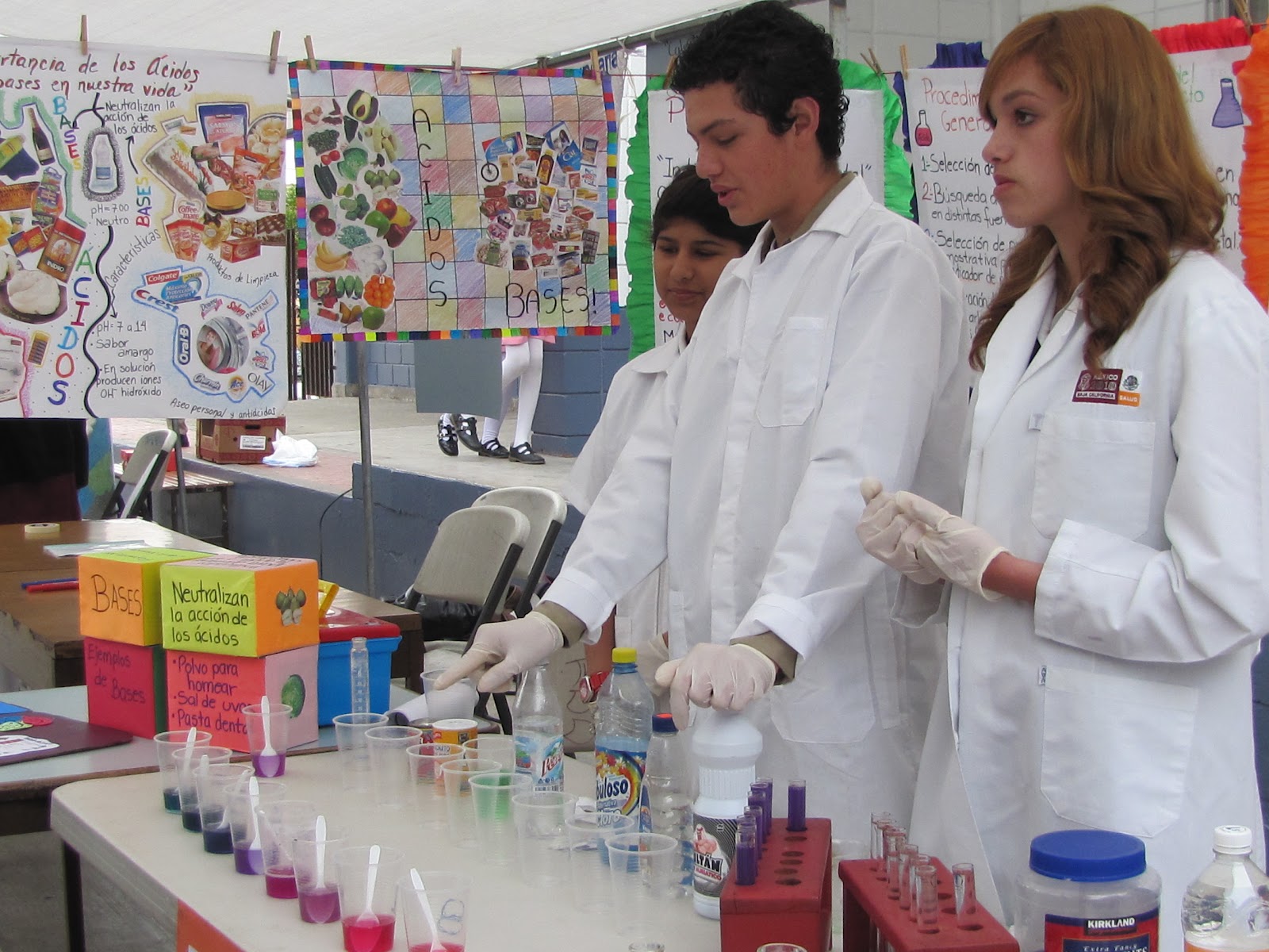 Proyectos secundaria primaria explicamos