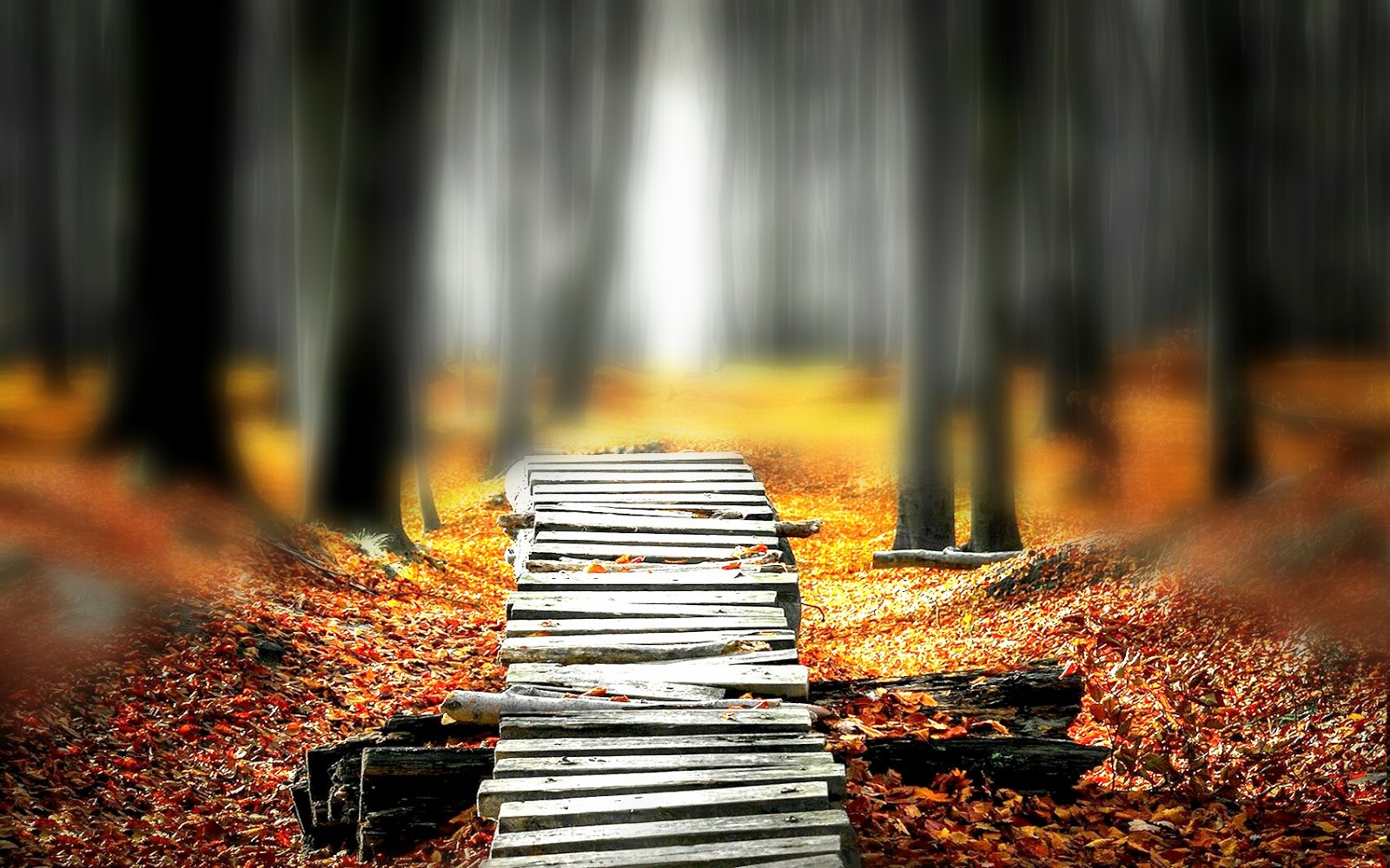 Featured image of post Editing Picsart Stairs Background Hd - Picsart mod is the most popular photo editing app for android smartphones.