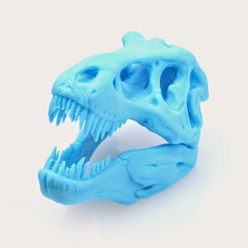 t rex skull 3d