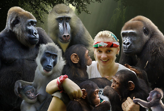 are humans related to primates