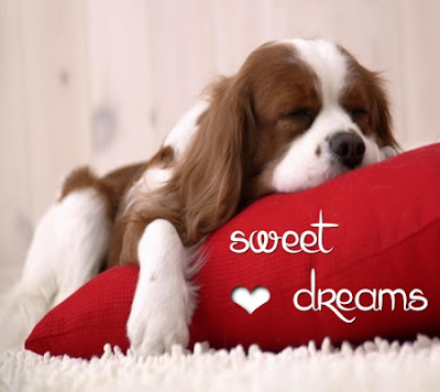  sweet dreams 