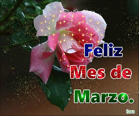 Las mejores 45 ideas de MARZO | marzo, bienvenido marzo, meses del año