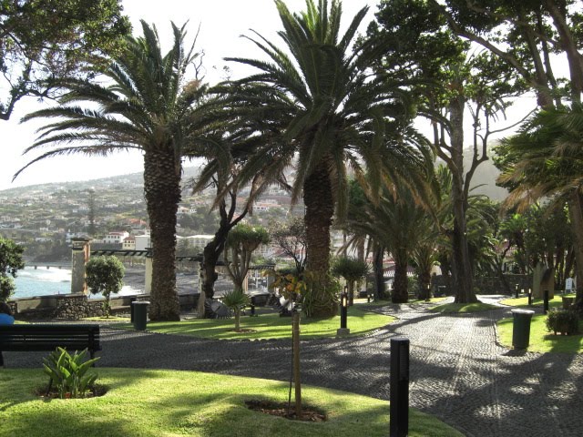 ONE WAY by l'agenzia di arte - House of Culture of Santa Cruz - Madeira Islands, Portugal