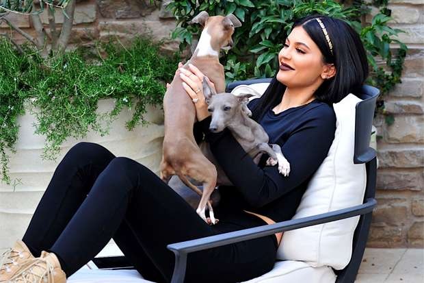 Kylie Jenner Animal lovers accuse star of mistreating her dog