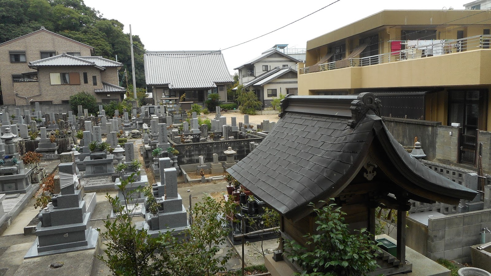 桃山日記 臨江寺